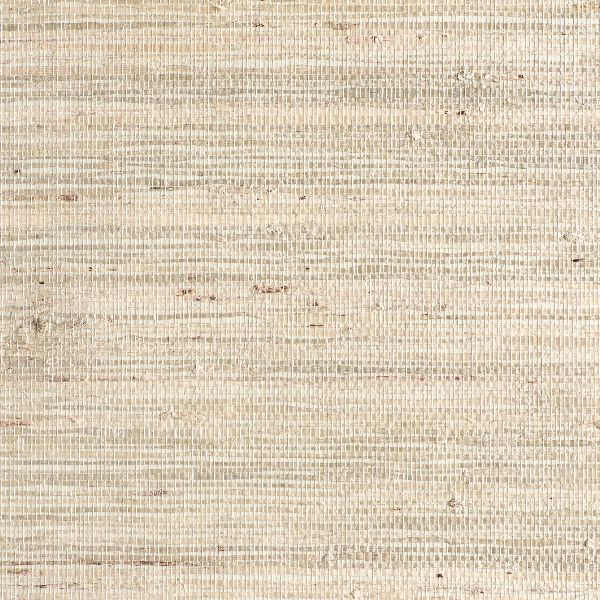 Arrowroot Wallpaper Swatch | Ivory