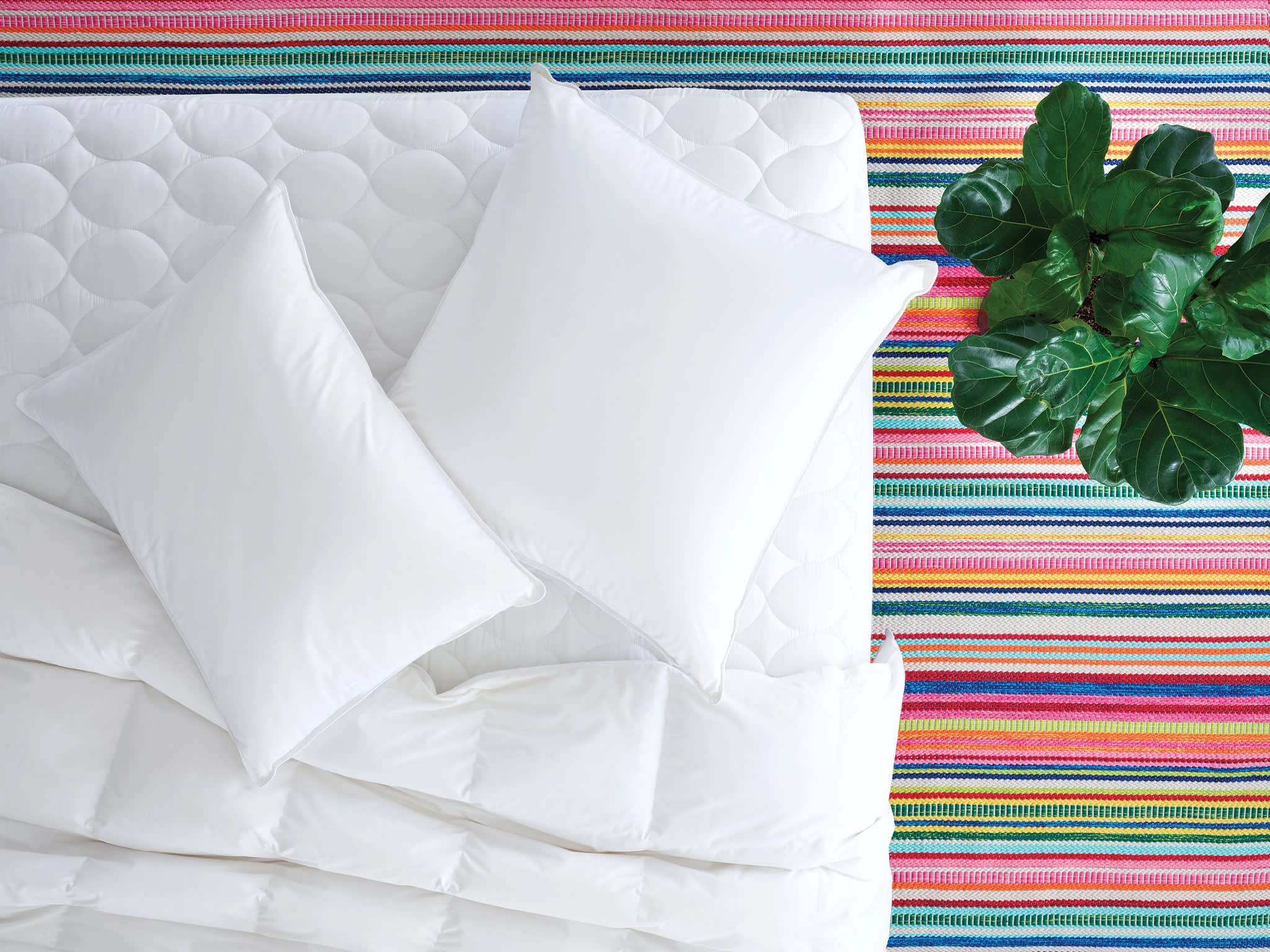 Bedding Basics Bundle | None - Image 2