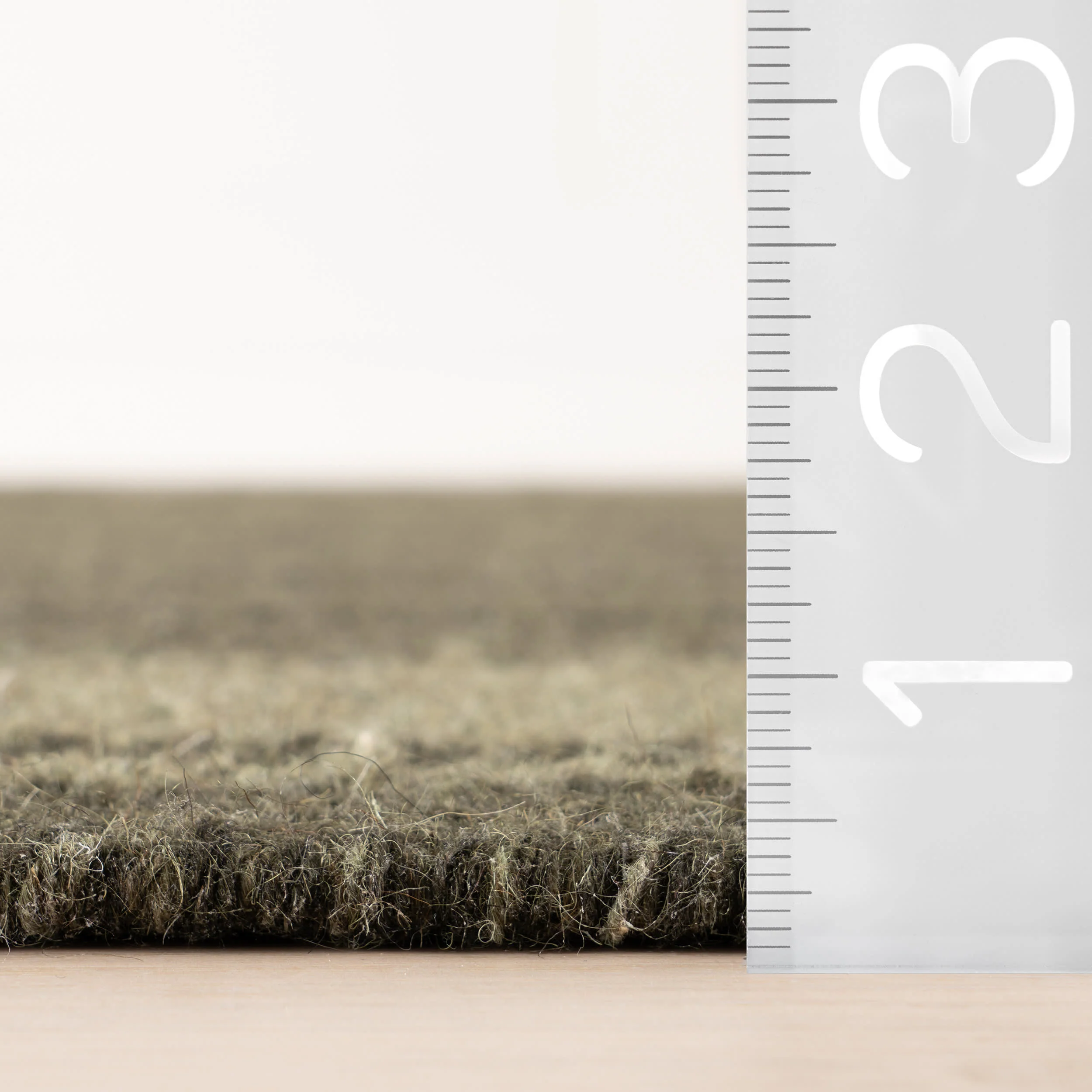 Canon Bordered Wool Rug by Nate Berkus | Green - Image 7
